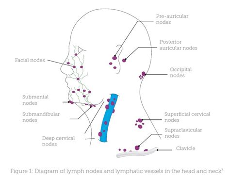 Lymphatic Drainage Face