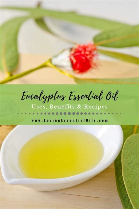 Eucalyptus Essential Oil Uses Benefits And Recipes Spotlight Recipe Eucalyptus Essential