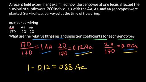 How To Find Relative Fitness And Selection Coefficient Youtube