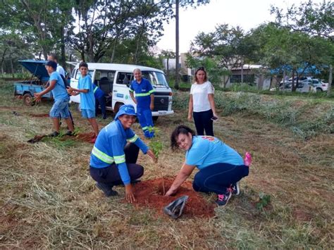 Saev Ambiental Saev Ambiental Realiza S Rie De A Es Educativas Em