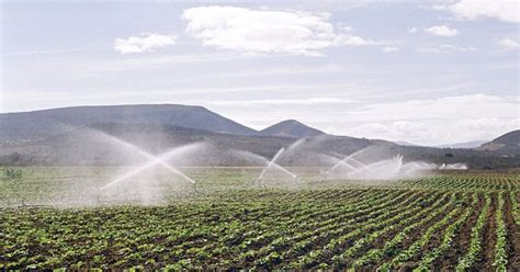 Governo Federal Cria Dia Nacional Da Agricultura Irrigada