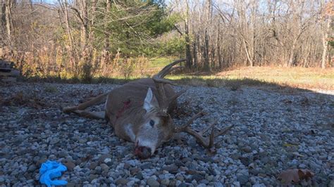 Mid November Success North East Ohio Big Buck Hits The Ground My