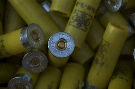 Shotgun Shells Explained What All Those Numbers On The Box Mean 2023