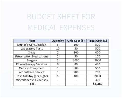 Free Medical Expenses Templates For Google Sheets And Microsoft Excel