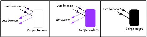 A cor de um corpo Mundo Educação