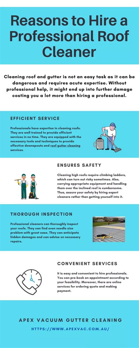 Ppt Reasons To Hire A Professional Roof Cleaner Powerpoint