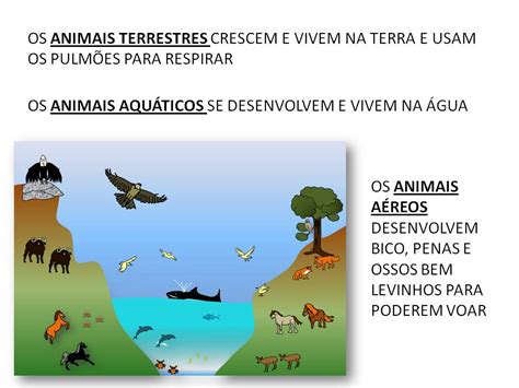 Ambientes Terrestres E Aquaticos - 5