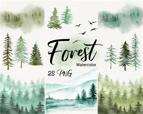 Watercolor Forest Tree Clipart Pine Tree Clipart Woodland Etsy Canada