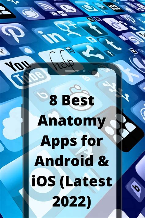 8 Best Anatomy Apps For Android And Ios Latest 2022