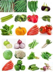 SeedsSunrise Combo Pack Of 25 Varieties Of Vegetables Seeds Seed Price