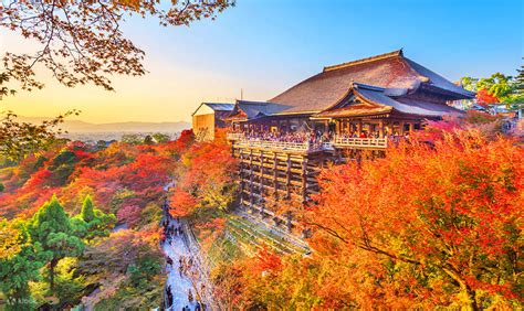 Perjalanan Sehari Kyoto Nara Kuil Kiyomizu Kuil Fushimi Inari