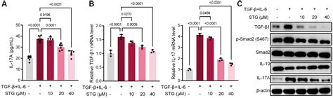 Stigmasterol Alleviates Airway Inflammation In Ova Induced Asthmatic