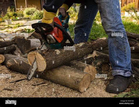 Hombres Usando Motosierra Fotograf As E Im Genes De Alta Resoluci N