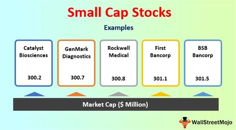 Small Cap Stocks (Meaning, Examples) | Why Invest in Small Cap?