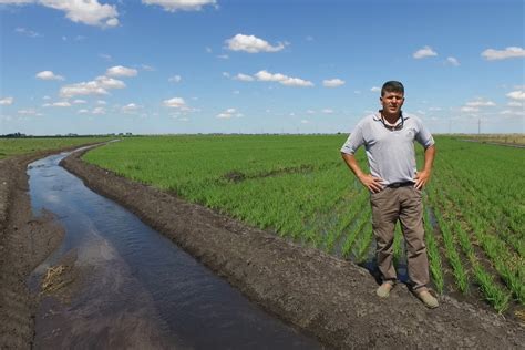 Ampliaron La Emergencia Al Arroz Y A Las Sojas De Primera Y De Segunda