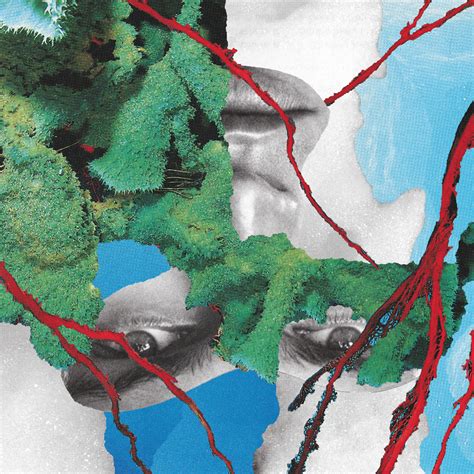 collage series   behance