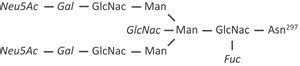 Schematic Representation Of The Igg Fc Bound Glycan Structure The Igg