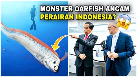 Gempar Oarfish Muncul Di Indonesia Kemunculan Ikan Kiamat Paling