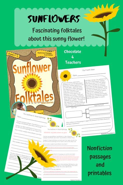 Sunflower Folktales Non Fiction Passages And Printables Folk Tales