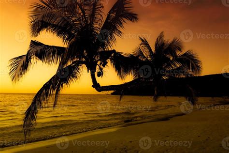 Silhouette of palm tree on the beach during sunset of beautiful a ...