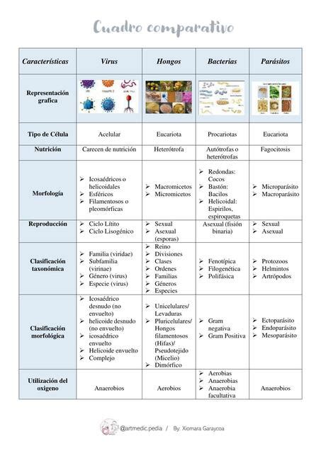 Cuadro Comparativo De Virus Bacteria Parasitos Y Hongos Esquemas Y