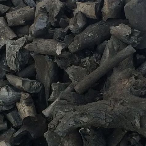 Babool Wood Charcoal At Rs Kilogram Wood Charcoal In Sidsar Id