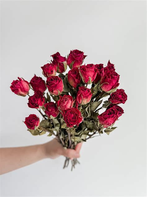 Mini Dried Roses Dried Flowers Dry Floras Flowers For Diy Natural