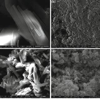 Inhibition Zones Of ZnO And Co Doped ZnO Nanoparticles Against Six