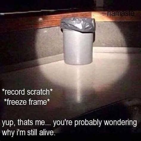 Yup Thats Me You Re Probably Wondering Why I M Still Alive Ifunny