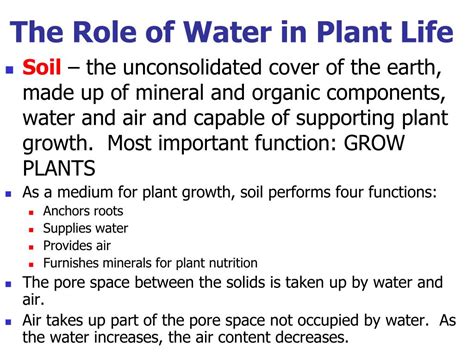 PPT Why Study Soil Plant Water Relations PowerPoint Presentation