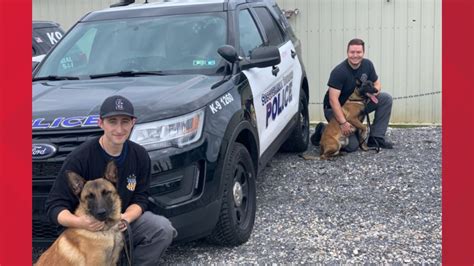 Susquehanna Township Police Introduce Two New K 9 Officers Indy And