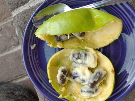 Allegheny Pawpaw – Mountain Figs