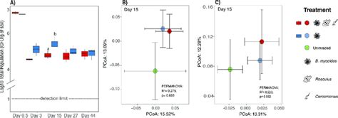 Survival of Bacillus mycoides M2E15 and the impact of inoculation ...