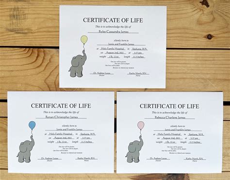 Personalized Certificate of Life (Elephant) – Grief Watch