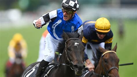 Ciaron Maher Secures Spring Slam With Gold Trips Melbourne Cup Heroics