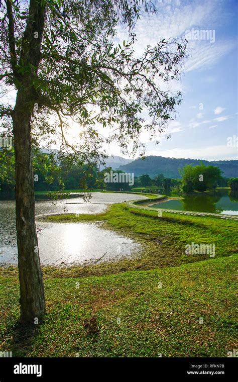 Beautiful Taiping Lake Gardens, Malaysia Stock Photo - Alamy