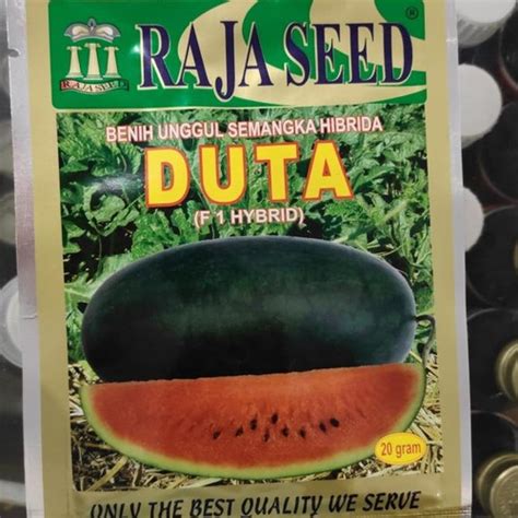 Jual Benih Unggul Semangka Hibrida F1 Berbiji Dari Raja Seed 20 Gram Z