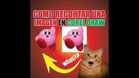 COMO RECORTAR UNA IMAGEN EN COREL DRAW YouTube