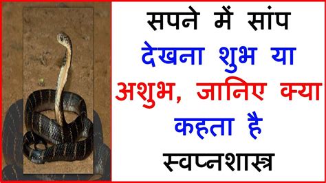 सपने में सांप देखना शुभ या अशुभ जानिए क्या कहता है स्वप्नशास्त्र Sapne Me Saap Dekhna Kya Hota