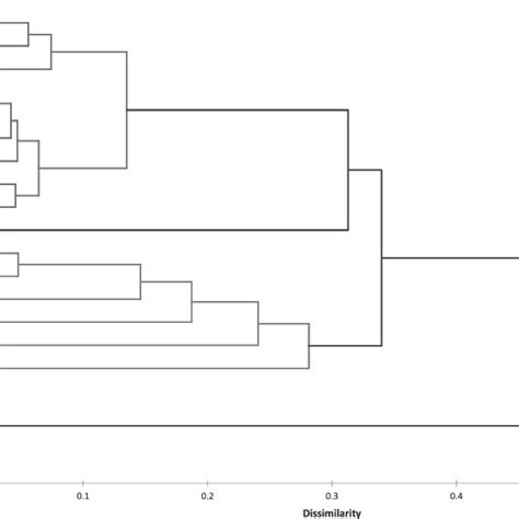 Dendrogram Obtained From The Agglomerative Hierarchical Cluster