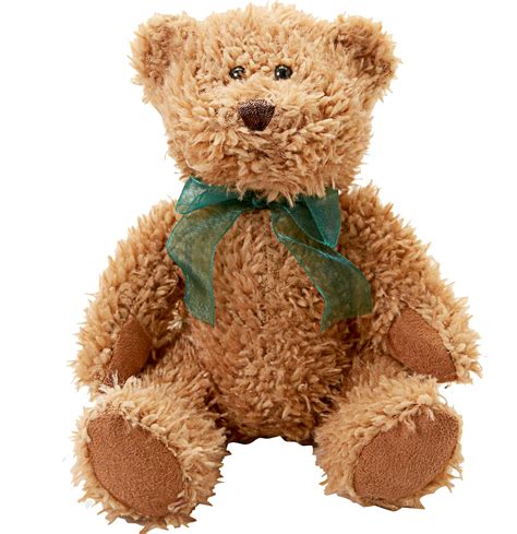 Teddy Bear - Cookie Bouquets