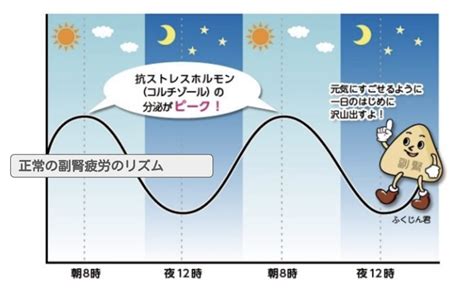 副腎疲労とは？病院での検査、症状、治療方法 京橋ウェルネスクリニック（宮澤医院）