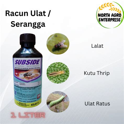 Racun 505 Subside 505 Racun Ulat Pengorek Buah Ulat Ratus Lalat