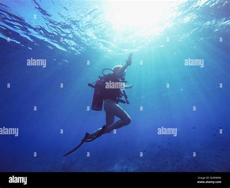 Scuba Diving Tank Scuba Diver Stock Photos And Scuba Diving Tank Scuba