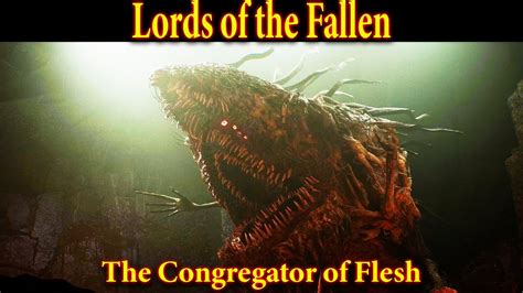 Lords Of The Fallen The Congregator Of Flesh Episode 7 Boss Fight