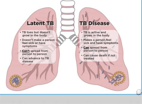 Respiratory Infections Flashcards Quizlet