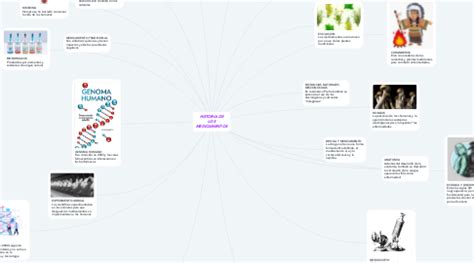 HISTORIA DE LOS MEDICAMENTOS MindMeister Mapa Mental