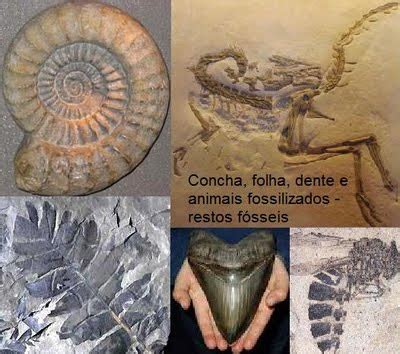 Eras Pré Históricas e Paleontologia Enciclopédia Global