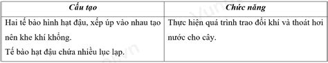 L Thuy T Trao I Kh Sinh V T Khoa H C T Nhi N L P T M Thi