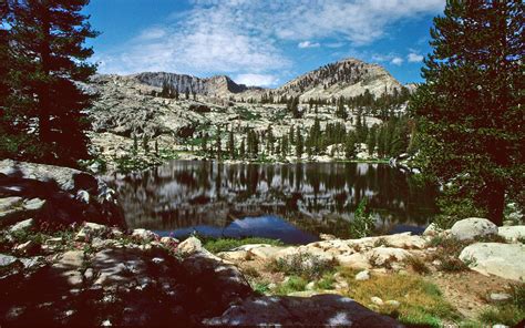 Kings Canyon & Sequoia National Park Camping: Best Guide For Where & How!